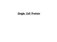 Single Cell Protein PowerPoint PPT Presentation