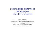 Diapositive 1