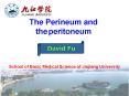 The peritoneum  ?? PowerPoint PPT Presentation