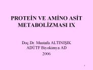 PROTEIN VE AMINO ASIT METABOLIZMASI IX