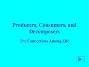 Producers, Consumers, and Decomposers