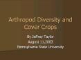 Arthropod Diversity and Cover Crops PowerPoint PPT Presentation