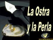Heridas Curadas