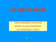 LA CIRCULACI