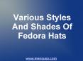 Various Styles And Shades Of Fedora Hats