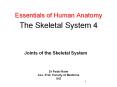 Essentials of Human Anatomy  The Skeletal System 4 PowerPoint PPT Presentation