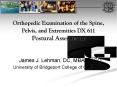 Orthopedic Examination of the Spine, Pelvis, and Extremities DX 611 Postural Assessment PowerPoint PPT Presentation