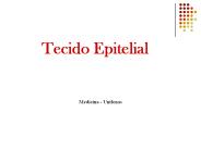 Histologia Tecido Epitelial