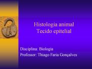 Histologia animal Tecido epitelial