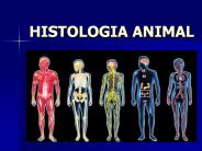 HISTOLOGIA ANIMAL