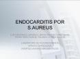 ENDOCARDITIS POR S.AUREUS PowerPoint PPT Presentation