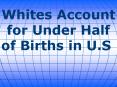 Whites Account for Under Half of Births in U.S. PowerPoint PPT Presentation