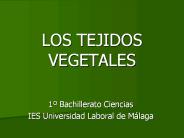 LOS TEJIDOS VEGETALES