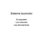Sistema locomotor