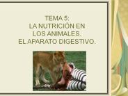 TEMA 5: LA NUTRICI