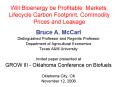 Will Bioenergy be Profitable: Markets, Lifecycle Carbon Footprint, Commodity Prices and Leakage PowerPoint PPT Presentation