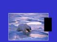 Chapter 23: The Atmosphere, Climate and Global Warming PowerPoint PPT Presentation