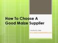 How To Choose A Good Maize Supplier PowerPoint PPT Presentation