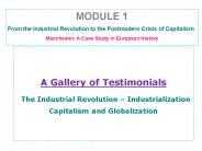 A Gallery of Testimonials  The Industrial Revolution 