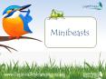 What is a minibeast? PowerPoint PPT Presentation