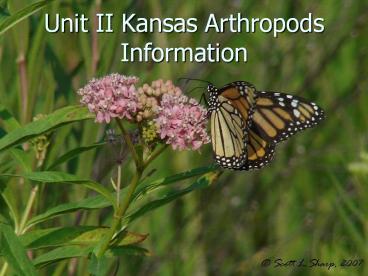 Unit II Kansas Arthropods Information