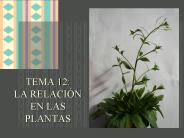 TEMA 12: LA RELACI