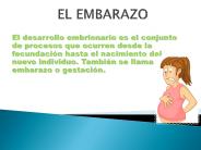 EL EMBARAZO
