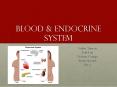 Blood PowerPoint PPT Presentation