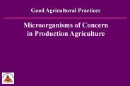 Good Agricultural Practices
