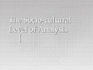The Socio-cultural Level of Analysis
