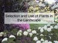 Selection and Use of Plants in the Landscape PowerPoint PPT Presentation