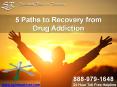 5 Paths to Recovery from Drug Addiction PowerPoint PPT Presentation