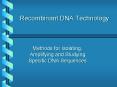 Recombinant DNA Technology PowerPoint PPT Presentation