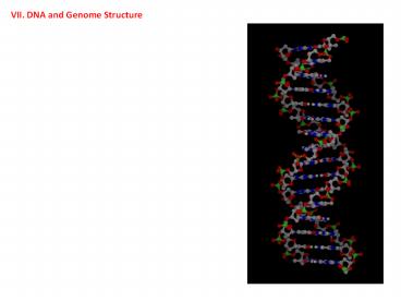 VII. DNA and Genome Structure