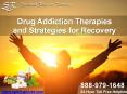 Drug Addiction Therapies and Strategies for Recovery PowerPoint PPT Presentation