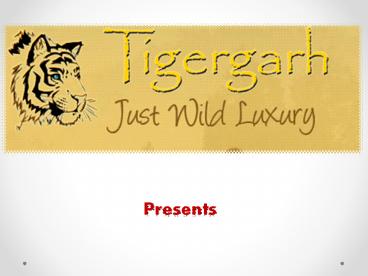 Facts about Wild Tiger