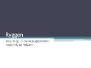 Ryggen