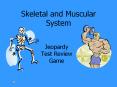 Skeletal and Muscular System PowerPoint PPT Presentation