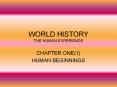WORLD HISTORY THE HUMAN EXPERIENCE PowerPoint PPT Presentation