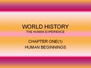 WORLD HISTORY THE HUMAN EXPERIENCE