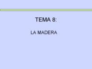 TEMA 8: