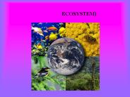 ????????? (ECOSYSTEM)