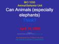 BIO 1030 Animal Behavior Unit Can Animals (especially elephants) Think?  April 14, 2008 PowerPoint PPT Presentation