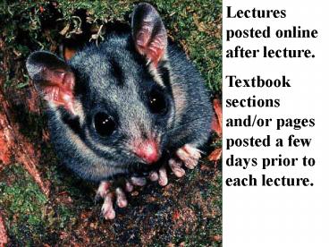 Lectures posted online after lecture.