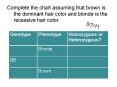 Complete the chart assuming that brown is the dominant hair color and blonde is the recessive hair color. PowerPoint PPT Presentation