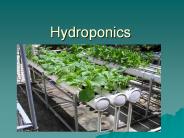 Hydroponics