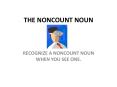 THE NONCOUNT NOUN PowerPoint PPT Presentation