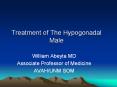 Treatment of The Hypogonadal  Male PowerPoint PPT Presentation