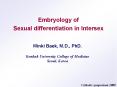 Embryology of Sexual differentiation in Intersex PowerPoint PPT Presentation