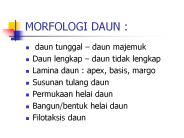 MORFOLOGI DAUN :